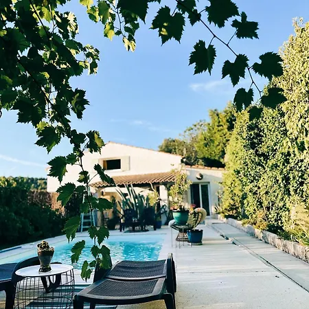 Cabanon Aloe Avec Piscine Chauffee & Bain Nordique